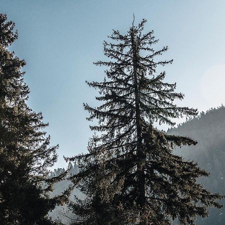 Roombox Likani Borjomi Luaran gambar